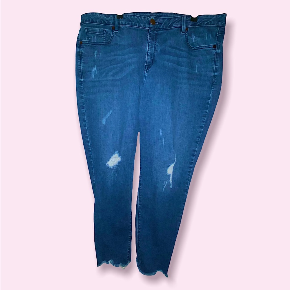 Plus Size Lane Bryant Distressed Denim Skinny Jeans